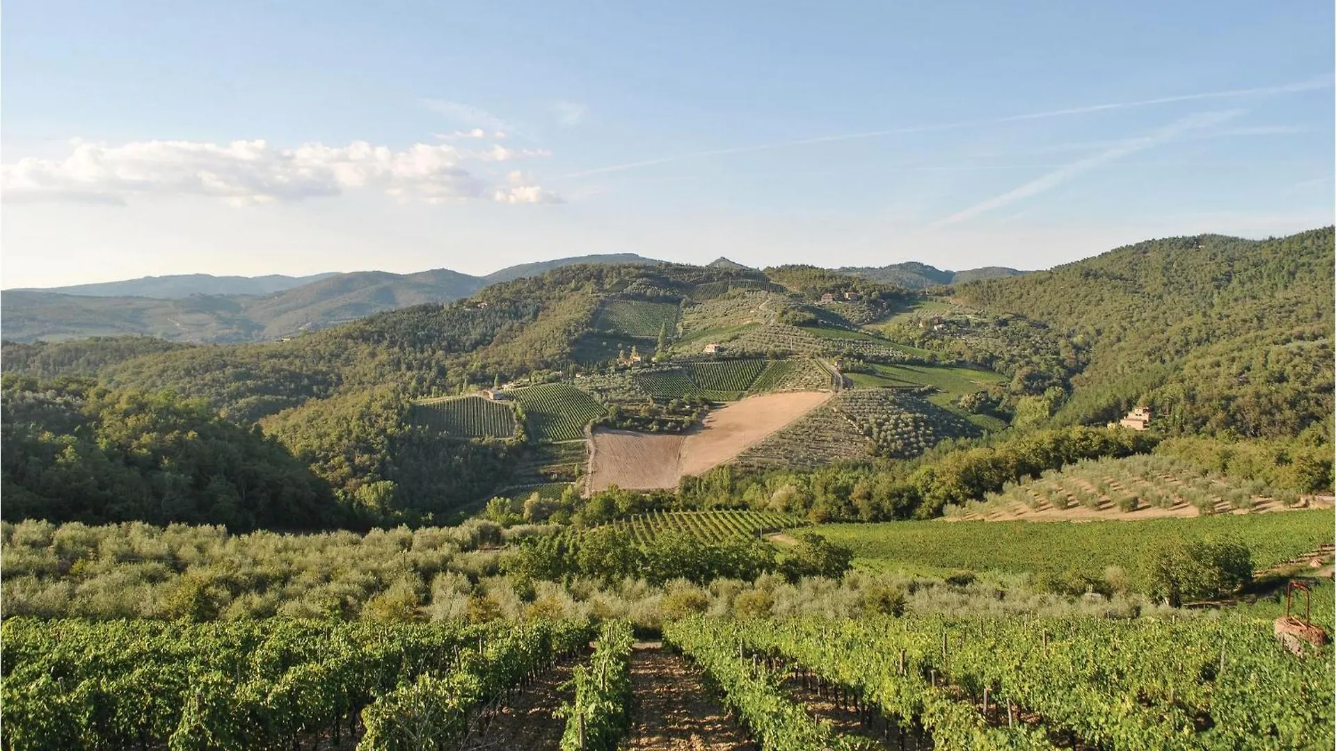 San Donato in PoggioSangiovese Sup,别墅 0*, San Donato in Poggio 意大利