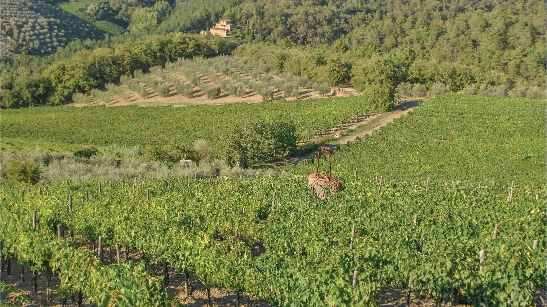 San Donato in PoggioSangiovese Sup,别墅 San Donato in Poggio